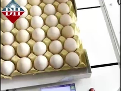 Μικρός εκτυπωτής μελανιού αυγών με ακμή Xy Ευφυής εκτυπωτής μελανιού αυγών πλήρως αυτόματος